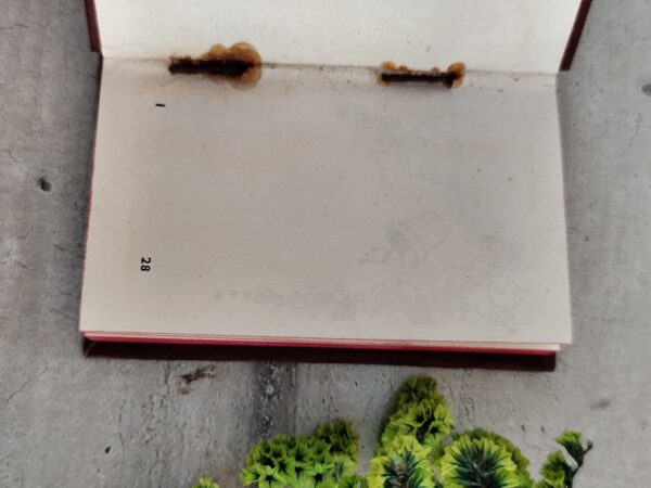 Ancien livre religieux le petit paroissien des enfants – Image 2