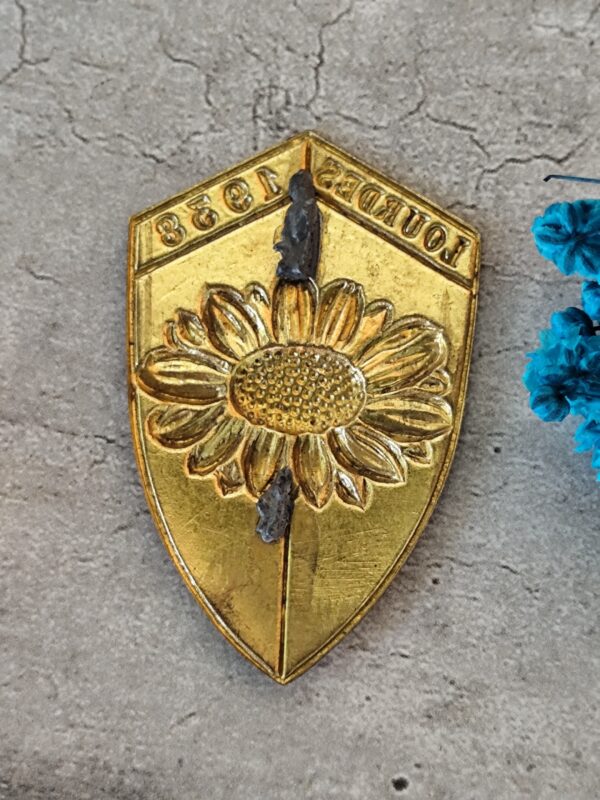 rare ancienne médaille  plaque  de lourdes 1938 – Image 2