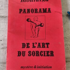 Livre panorama de l'art du sorcier mystère & initiation montaigu 