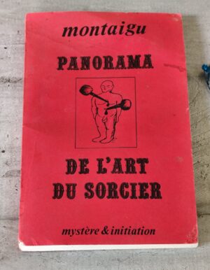 Livre panorama de l'art du sorcier mystère & initiation montaigu 