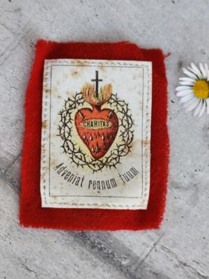 Image pieuse Sacré‑Cœur de Jésus – Écusson religieux ancien – “Charitas / Adveniat Regnum Tuum” – Dévotion catholique